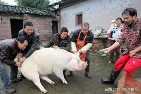 赣州的一道汤，名字不好听，颜值也不高，味道却非常鲜美图片