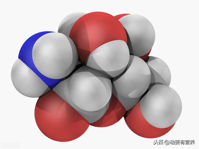 科普文运动与各类营养