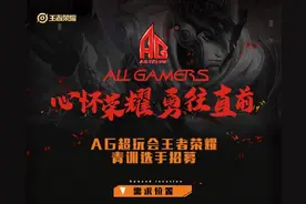 王者荣耀职业选手的条件有多苛刻？AG招募青训，梦泪老帅都没资格图片
