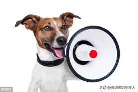 娱乐搞笑的爆笑笑话图片