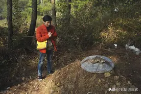 农村俗语：“坟后莫有树缠藤，坟前莫有桃花红”，是啥意思？图片