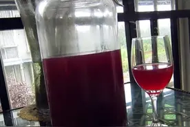 葡萄酒的制作方法，配方详细无添加，比买的要好喝图片