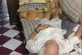 女孩考上大学离开家，把猫咪交给爷爷照顾，回来见此场景吓呆了图片