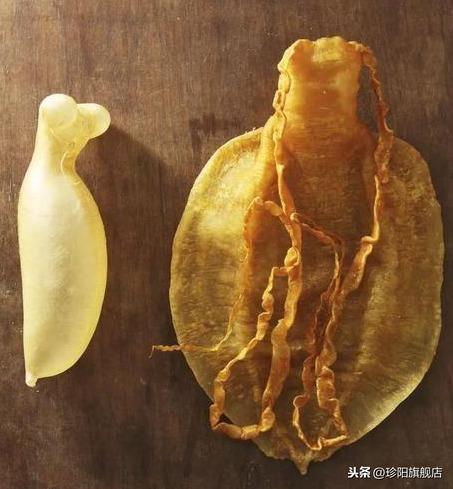 花胶泡发好可以存放多久 花胶泡发完保存多久