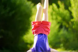 成年人为什么参加同学会？背后隐藏的真相被小说《倒立》讲透了图片