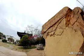 八公山中有奇石，通体紫润，线条如金，有人作为生财之道扒拉回家图片