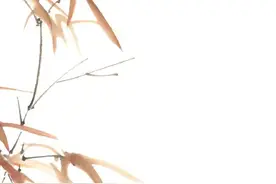 法语｜自由图片