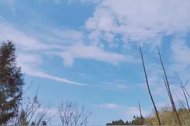 姑侄亲，那是真的亲图片