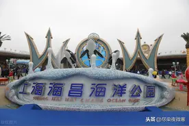探秘上海海昌海洋公园图片