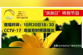 「田间示范秀』小康路上有人帮•黄花铺就致富路图片