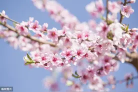世界那么大，看花花世界。图片