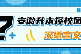 安徽专升本｜汉语言文学有哪些学校性价比最高？图片