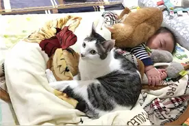 猫咪冬天受冷后，竟睡到宝宝身上取暖，网友：看不到孩子了图片
