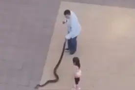 俄罗斯男子带着两米长蟒蛇公园散步，任由人们和它玩耍图片