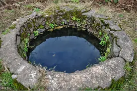 井水能养黄鳝？原来黄鳝喜欢这样的水质图片