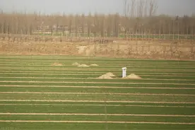 农村俗语“坟旁有屎有晦气，坟后一物有大喜”，啥意思？在理吗？图片