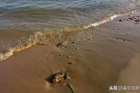 紧急呼吁！秦皇岛人近期不要前往这片海滩图片
