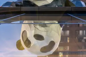 巴适成都，一个来了就不想走的城市图片
