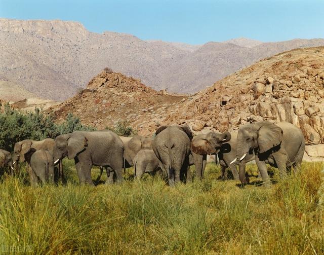 高中生物：必修1-3课本中的重点句合集