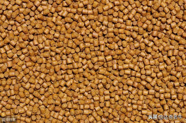 漫谈基础饵：高蛋白颗粒、开口料、能量料的钓鱼选择和避坑技巧
