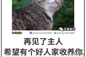 日式冷吐槽，有点冷所以请关闭空调后阅读图片