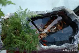 自己动手用石头做一个小鱼缸作摆件图片