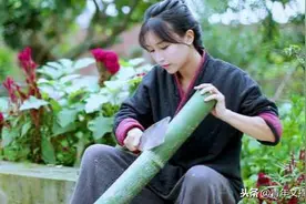 网红李子柒被模仿成风：不要用你的业余，去挑战别人的专业图片