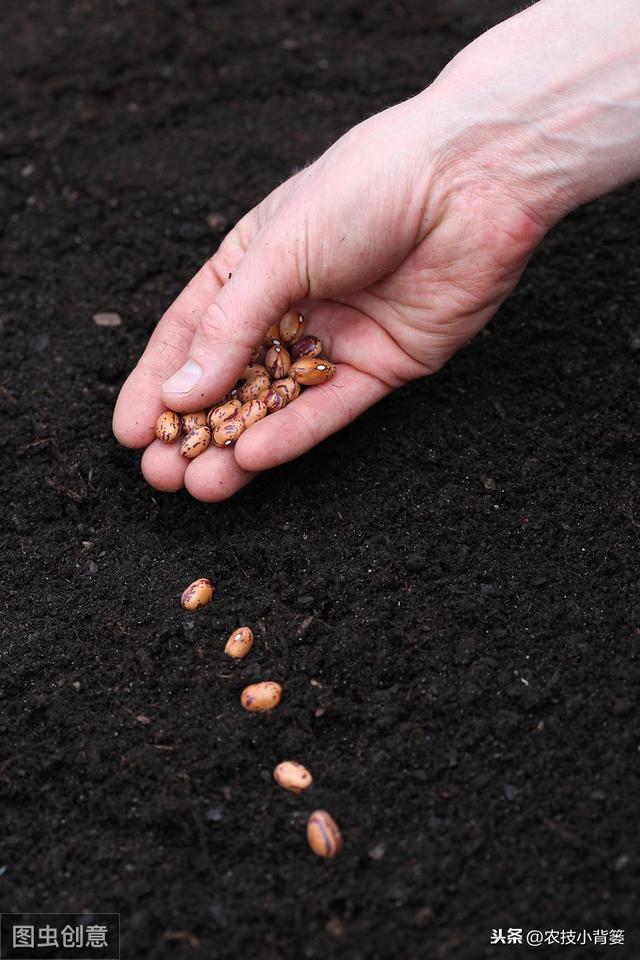 什么是氨基酸（肥）？它有哪些农业价值？如何挑选和使用？