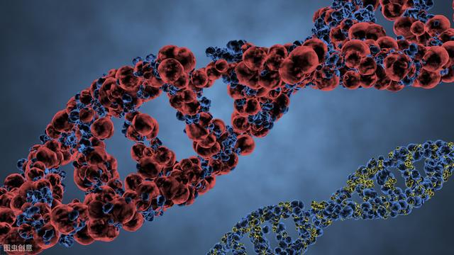 生物老师整理的高一蛋白质知识点，快来一起看看吧