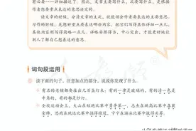 统编版六年级下册《语文园地一》知识点图片