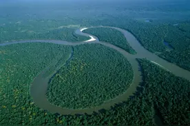 亚马逊河霸食人鱼入侵，惨遭千元悬赏一周被抓光，多年后巢湖再现图片