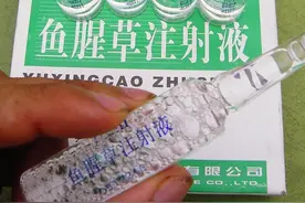 中国药害事件回顾：鱼腥草注射剂致死事件图片