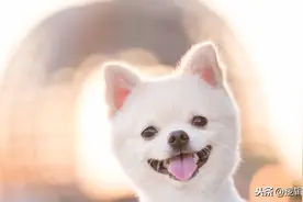 我就喜欢这么大的香蕉，大图片
