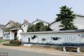田地浇水不方便？不用拉线和柴油机，教你百元搞定图片