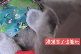 王者荣耀：全英雄一句话攻略，让你意识升华，提前融入王者段位图片