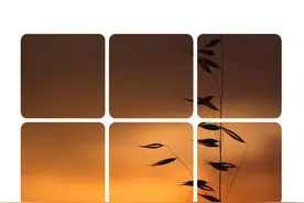 手机拍照片咋做成九宫格？只需4步，这么发朋友圈真好看图片