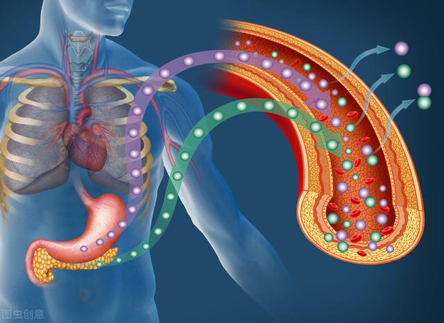 运动补充剂BCAA与EAA哪种更适合你，最初人们为何会使用BCAA
