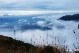 赶山老人讲故事:受伤野猪王有多么可怕，红苕地里女子在劫难逃！图片