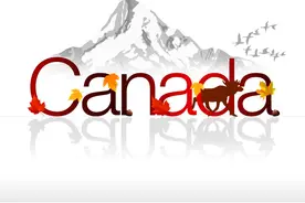 这些专业在加拿大学院间备受欢迎图片