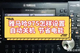 雅马哈975怎样设定自动关机功能图片