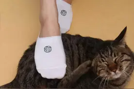 生活是否得体，脱了鞋才知道图片