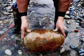 湖北有一道“硬菜”，炒的是石头，吃的也是石头，这该怎么吃呢？图片