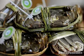阳澄湖大闸蟹90%是假的，养殖户道出猫腻：产量只能供上海3天图片
