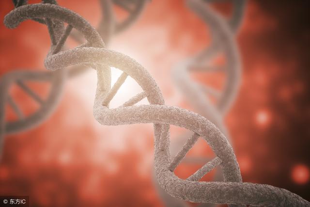 人类基因编辑抵御艾滋事件热点追踪（一）：浅析基因