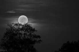 故事：夜晚路过山村，发现只有老人没有青壮年，村口老妇“快逃”图片
