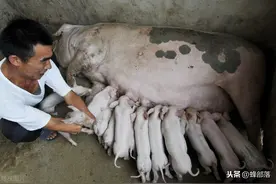 为啥雌性生物总爱在繁殖期分泌粘液？动物能理解，植物为了啥？图片