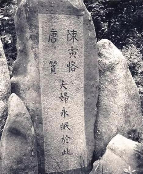 你知道陈寅恪很厉害，但你知道他的家族有多牛吗？
