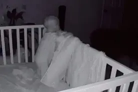 “你就是我最大的牵挂”暖心狗狗守护小主人，让人羡慕图片