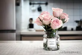 舒城中学2020-2021学年度第二学期开学考高一语文试卷图片