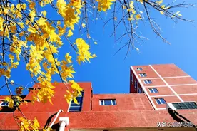 3所独立学院“升级”一流大学：并入北师大、南大、南中医图片